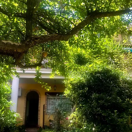 Country house La Mercedes